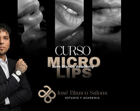 Micro Lips – Curso Introductorio
